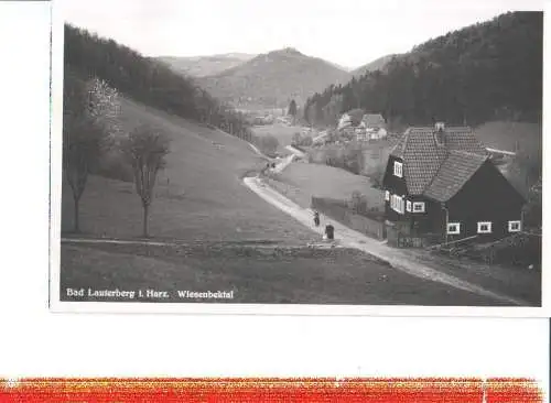 bad lauterberg im harz, wiesenbektal, 1955 (Nr. 7782)