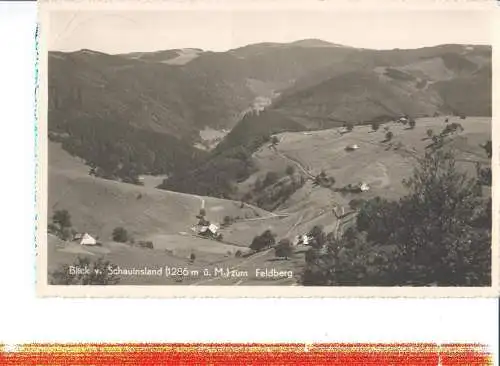 blick v. schauinsland z. feldberg (Nr. 7884)