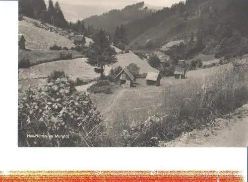 heu-hütten im murgtal, 1961 (Nr. 8007)