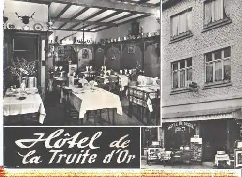 hotel de la truite d'or, la roche en ardenne (Nr. 8149)