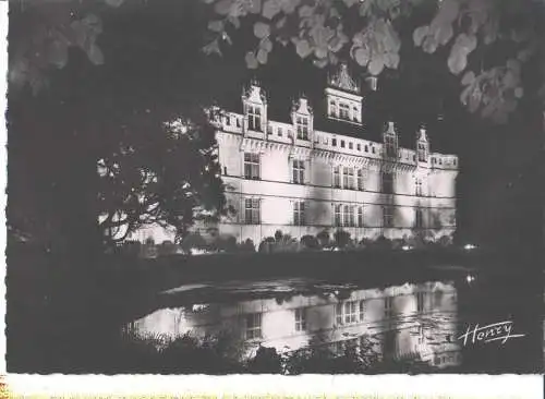 azay-le-rideau, illumination du chateau (Nr. 8166)