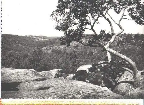 fontainebleau, la foret (Nr. 8180)