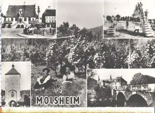 molsheim, la piscine (Nr. 8208)