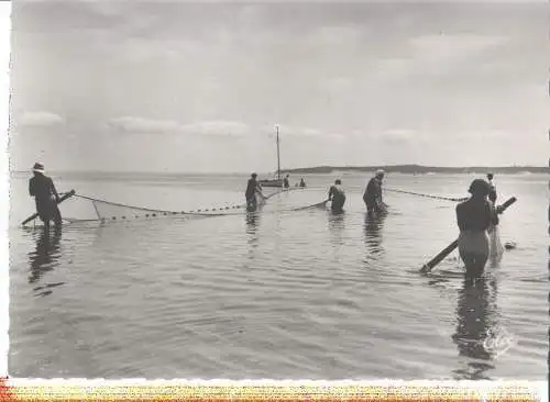 arcachon, la peche a la senne (Nr. 8218)