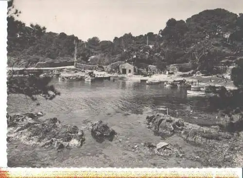 la cote d'azur, presqu ile de giens, le port du niel (Nr. 8241)