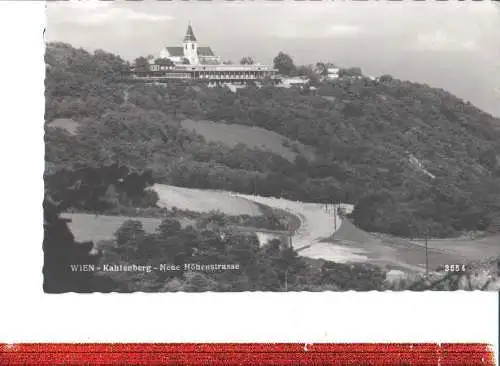 wien, kahlenberg, neue höhenstrasse, 1950 (Nr. 8300)