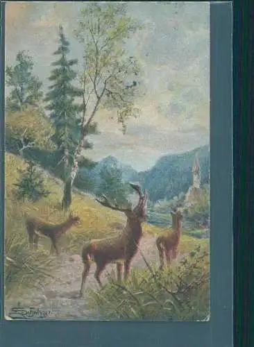 künstlerkarte 1917, hirsch (Nr. 8348)