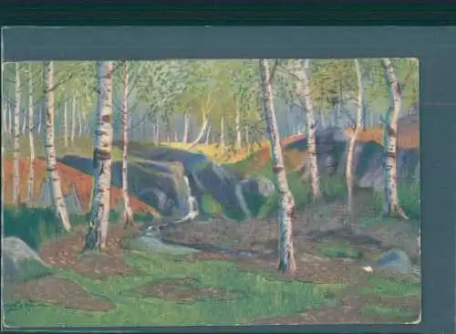 birkenwald, 1917 (Nr. 8349)