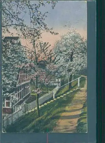 künstlerkarte 1918, kirschblüte (Nr. 8367)