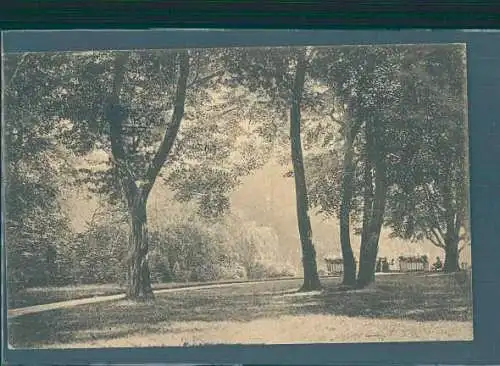 oldenburg, partie im schloßgarten, 1914 (Nr. 8466)