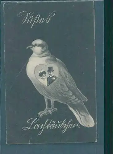 süßes lachtäubchen, grußkarte (Nr. 8506)