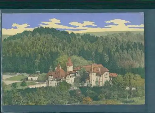forbach in lothringen, burghof (Nr. 8509)