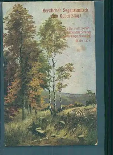 herzl. segenswunsch z. geburtstag, hagen, 1913 (Nr. 8616)
