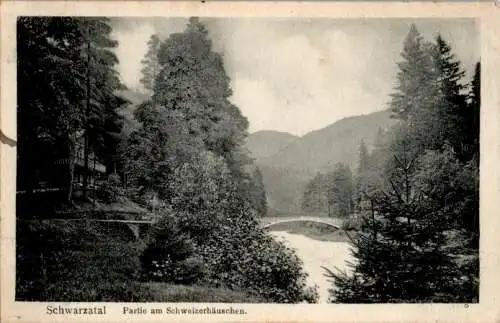 schwarzatal, partie am schweizerhäuschen (Nr. 8718)