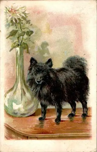 hund mit vase, dr. aumann erfurt, 1918 (Nr. 8727)