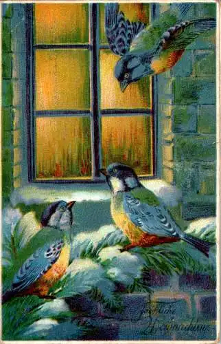 vögel im winter am fenster, 1912 (Nr. 8728)
