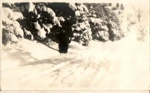 helvetia 1911, winter foto (Nr. 8769)