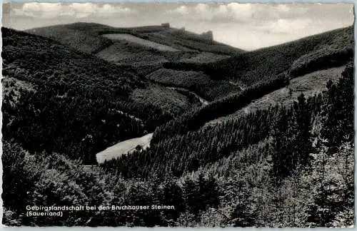gebirgslandschaft bei den bruchhauser steinen, sauerland, brilon-wald (Nr. 8801)