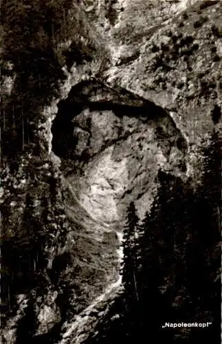 napoleonkopf in der burgstallwand (Nr. 8802)