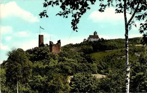 weinheim, burgruine windeck (Nr. 8828)