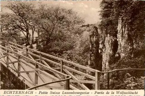 echternach, petite suisse luxembourgeoise, wolfsschlucht (Nr. 8869)