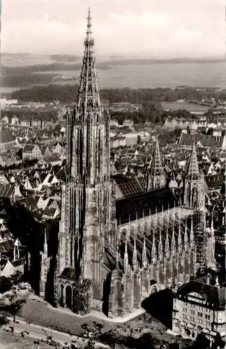 ulm a.d. donau, münster (Nr. 8971)