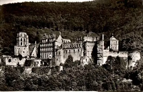 das heidelberger schloss (Nr. 8972)