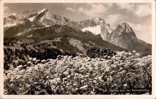 pfeiffer-alm b. partenkirchen (Nr. 8987)