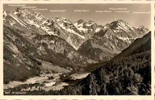 birgsautal mit mädelegabelgruppe (Nr. 9013)