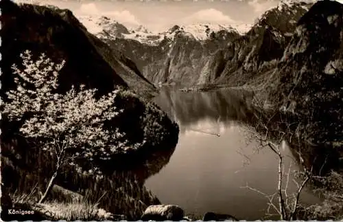 königsee, bayern (Nr. 9078)