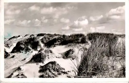 nordseebad wenningstedt auf sylt, dünen (Nr. 9151)