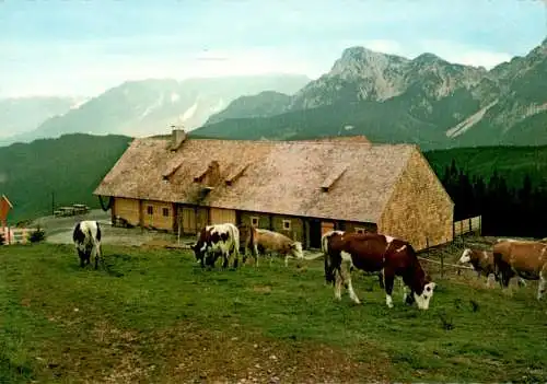 stoisser-alm m. untersberg (Nr. 9274)