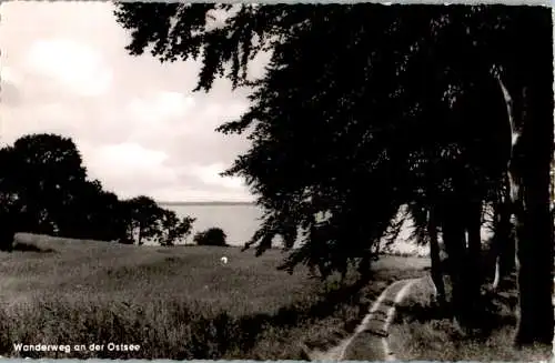 wanderweg an der ostsee, ostseebad schwedeneck (Nr. 9313)