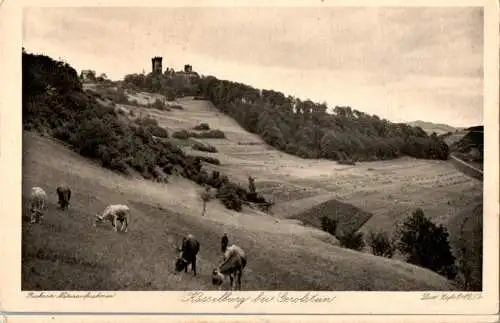 kasselburg bei gerolstein, kühe (Nr. 9351)