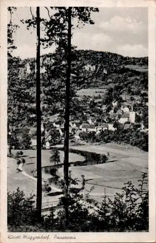 kurort muggendorf, panorama (Nr. 9513)