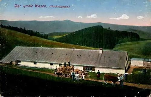 der kahle wasen, hochvogesen (Nr. 9572)