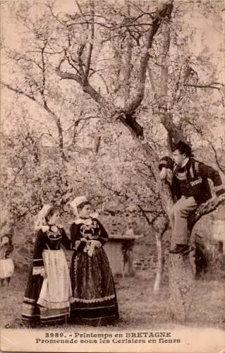 printemps en bretagne, promenade sous les cerisiers en fleurs (Nr. 9578)