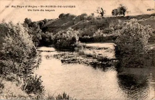 st aubin de luigne, un coin du layon (Nr. 9581)