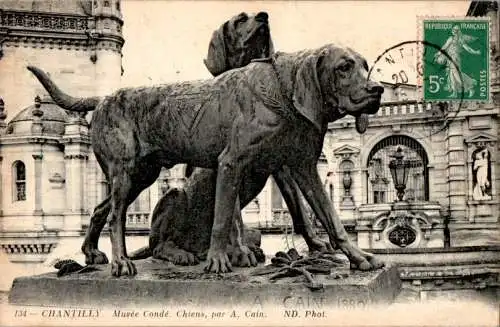 chantilly, musée condé, chiens (Nr. 9595)