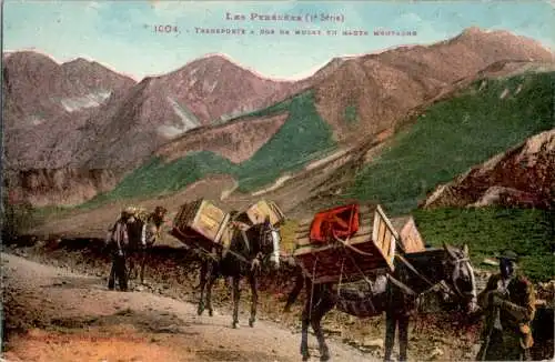 les pyrénées, transport a dos de mulet en haute montagne (Nr. 9618)