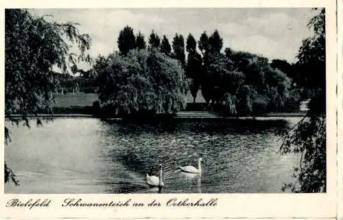 bielefeld, schwanenteich an der oetkerhalle (Nr. 9651)