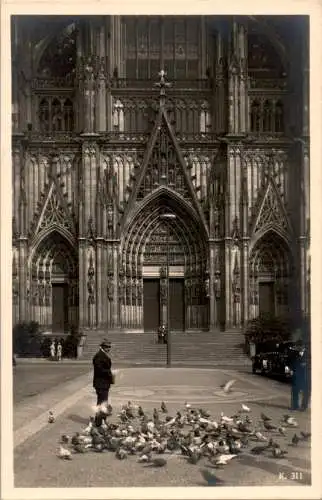 köln, dom-tauben (Nr. 9670)