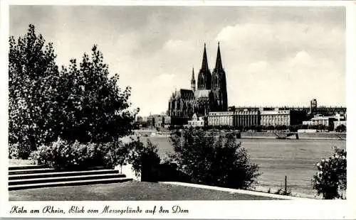 köln am rhein, blick vom messegelände auf den dom (Nr. 9695)