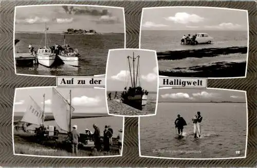 auf zu der halligwelt (Nr. 9742)
