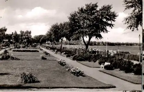 ostseebad eckernförde, kurpark (Nr. 9771)