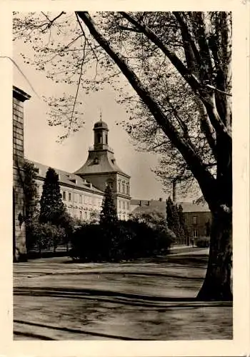 bonn universität, 1951 (Nr. 9891)