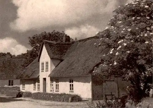 altes friesenhaus, sylt (Nr. 9905)