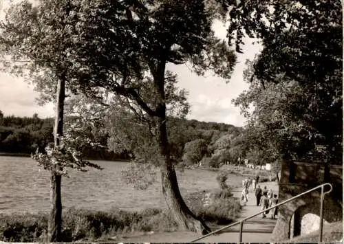 malente-gremsmühlen, partie am dieksee (Nr. 9940)