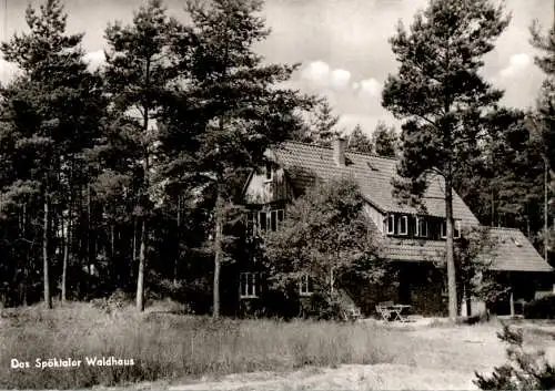 das spöktaler waldhaus, steinbeck, luhe (Nr. 9944)