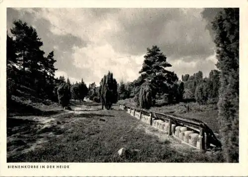 bienenkörbe in der heide (Nr. 9991)